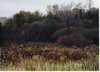 6 Habitat Tips for Sportsmen